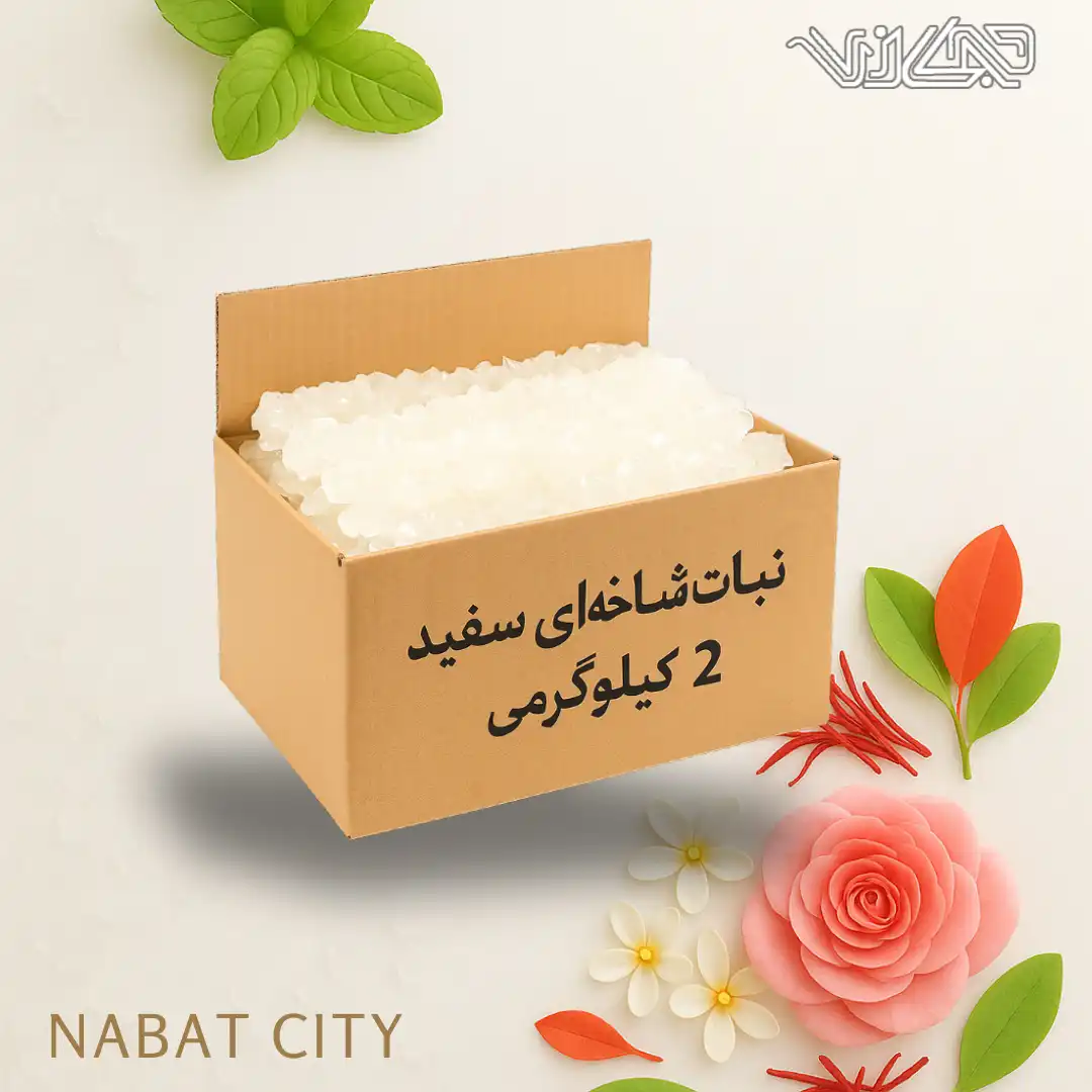 نبات شاخه ای سفید 2 کیلوگرمی