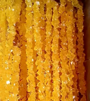 نبات شاخه مخصوص پرک دار