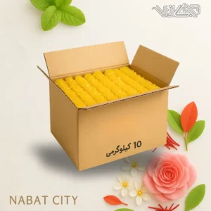 نبات شاخه ای زعفرانی 10 کیلوگرمی