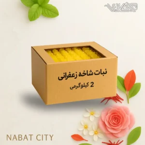 نبات شاخه ای زعفرانی 2 کیلوگرمی
