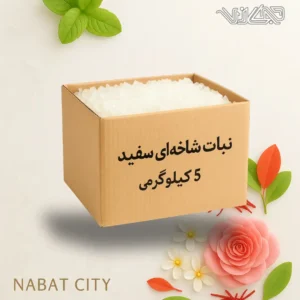نبات شاخه ای سفید 5 کیلوگرمی