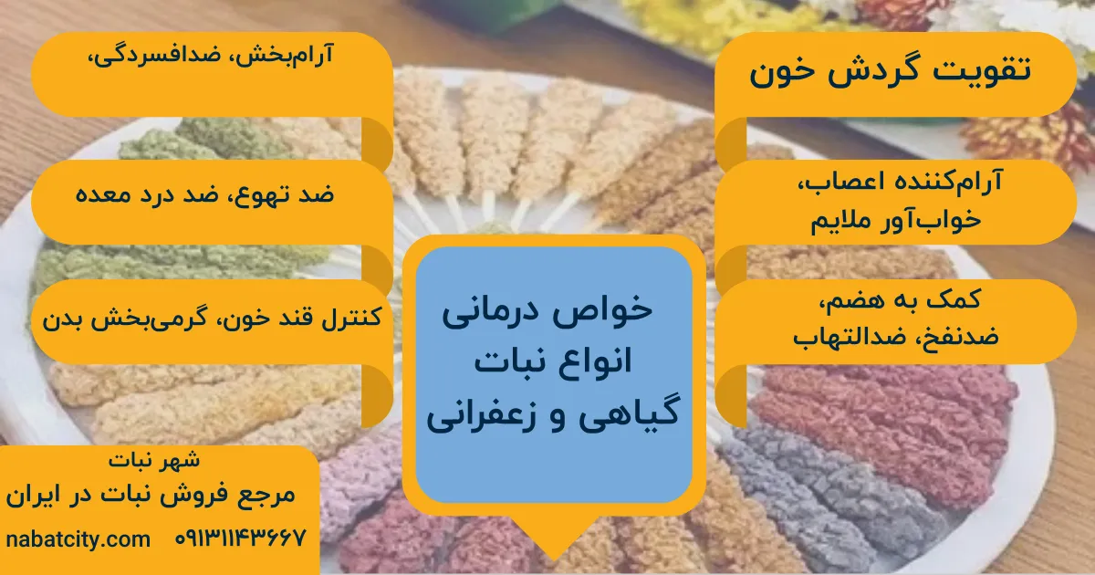 خواص درمانی انواع نبات گیاهی و زعفرانی