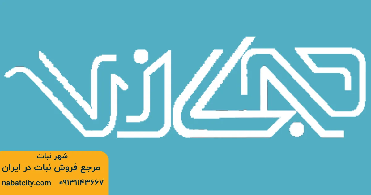 شهر نبات (نبات حجازی)