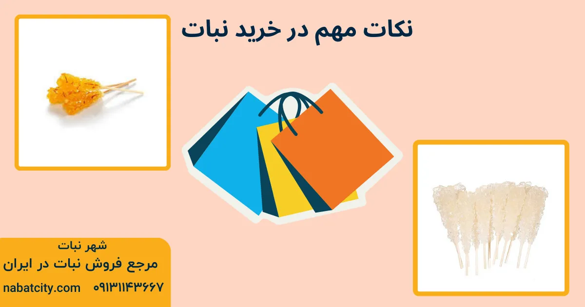 نکات مهم در خرید نبات