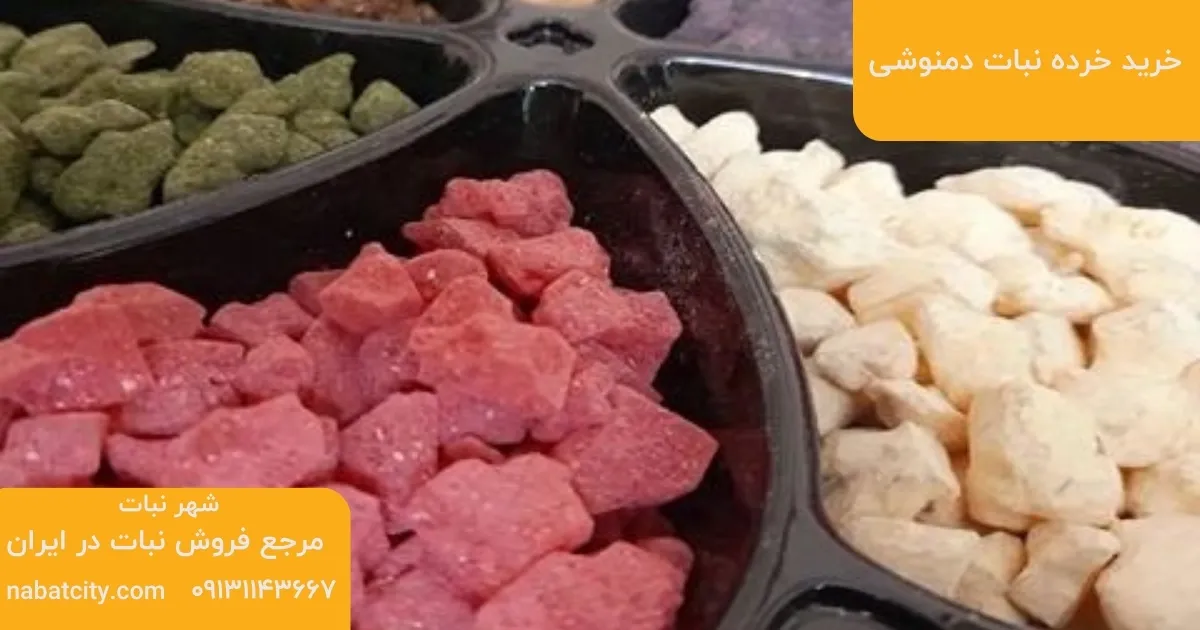 خرید خرده نبات دمنوشی