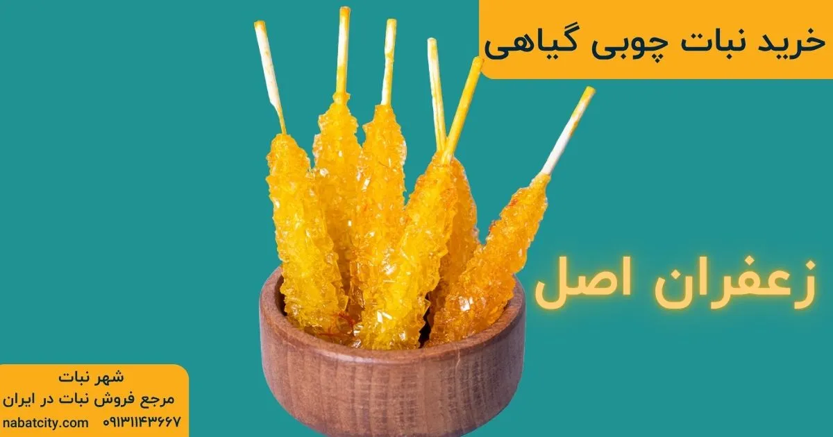 خرید نبات چوبی زعفرانی