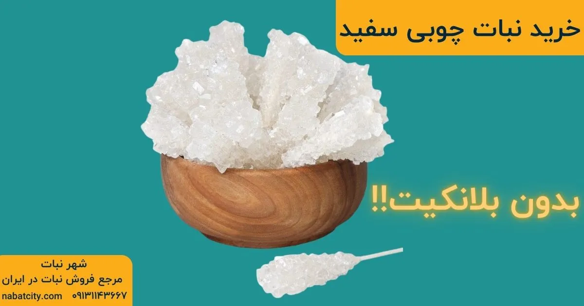 خرید نبات چوبی سفید