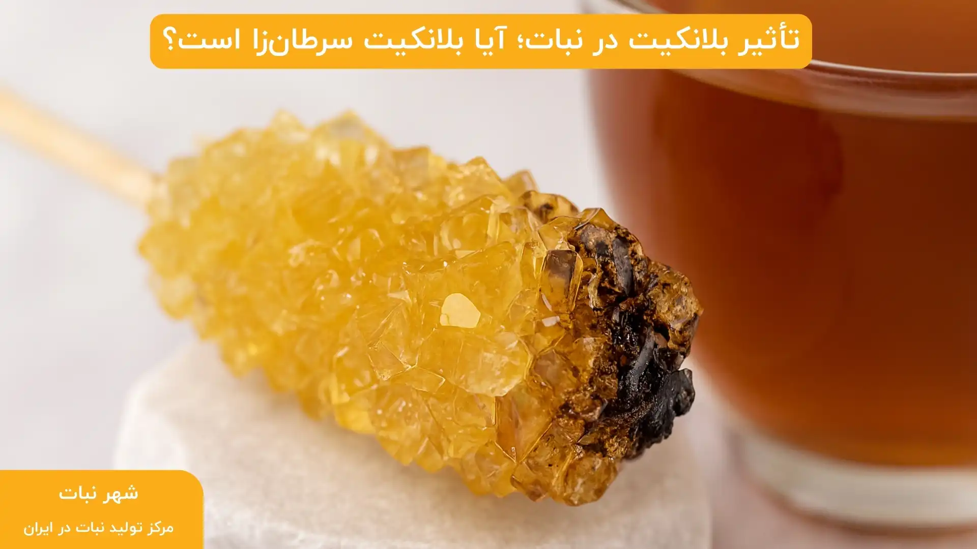 تأثیر بلانکیت در نبات؛ آیا بلانکیت سرطان‌زا است؟