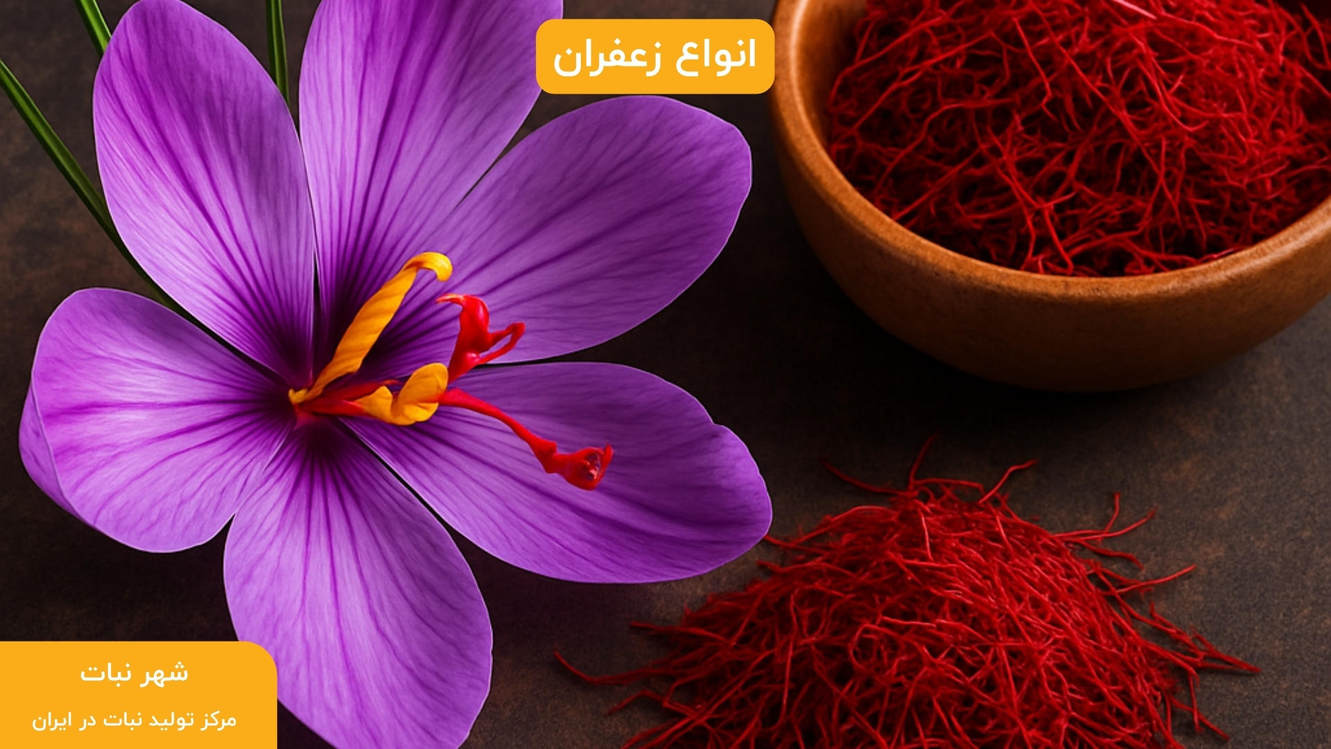 انواع زعفران