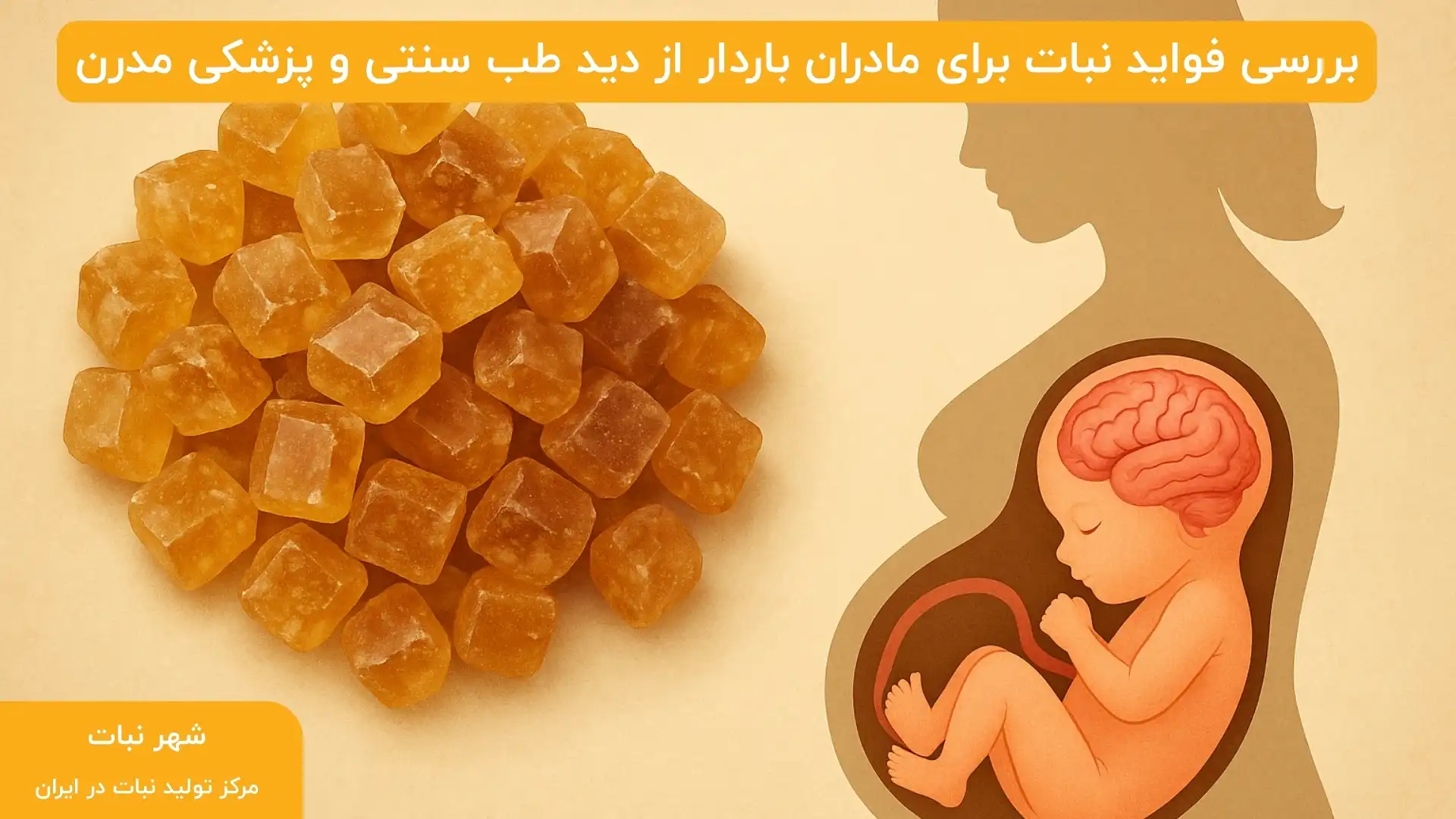 بررسی فواید نبات برای مادران باردار از دید طب سنتی و پزشکی مدرن