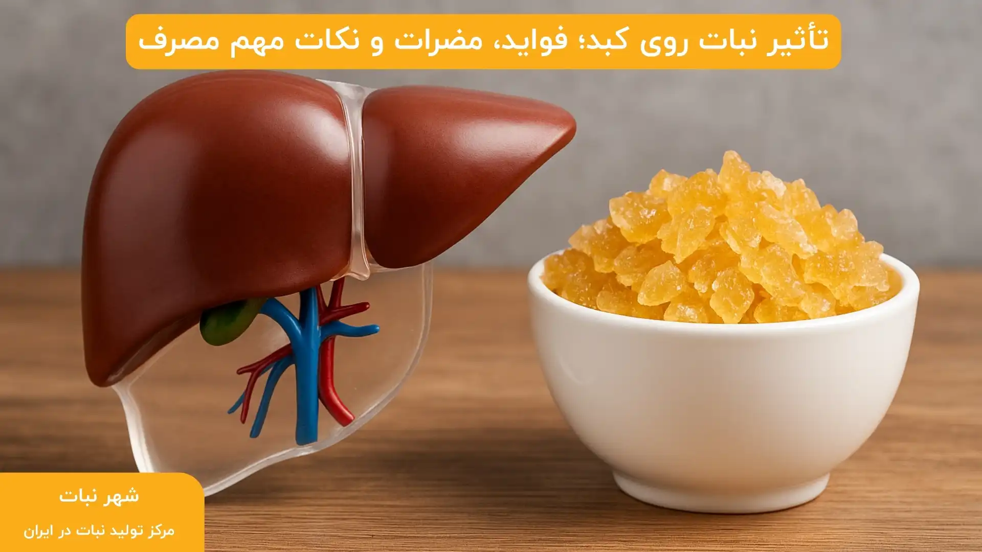 تاثیر نبات روی کبد؛ فواید، مضرات و نکات مهم مصرف