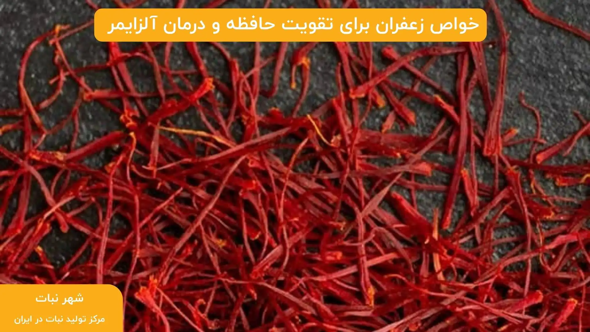 خواص زعفران برای تقویت حافظه و درمان آلزایمر