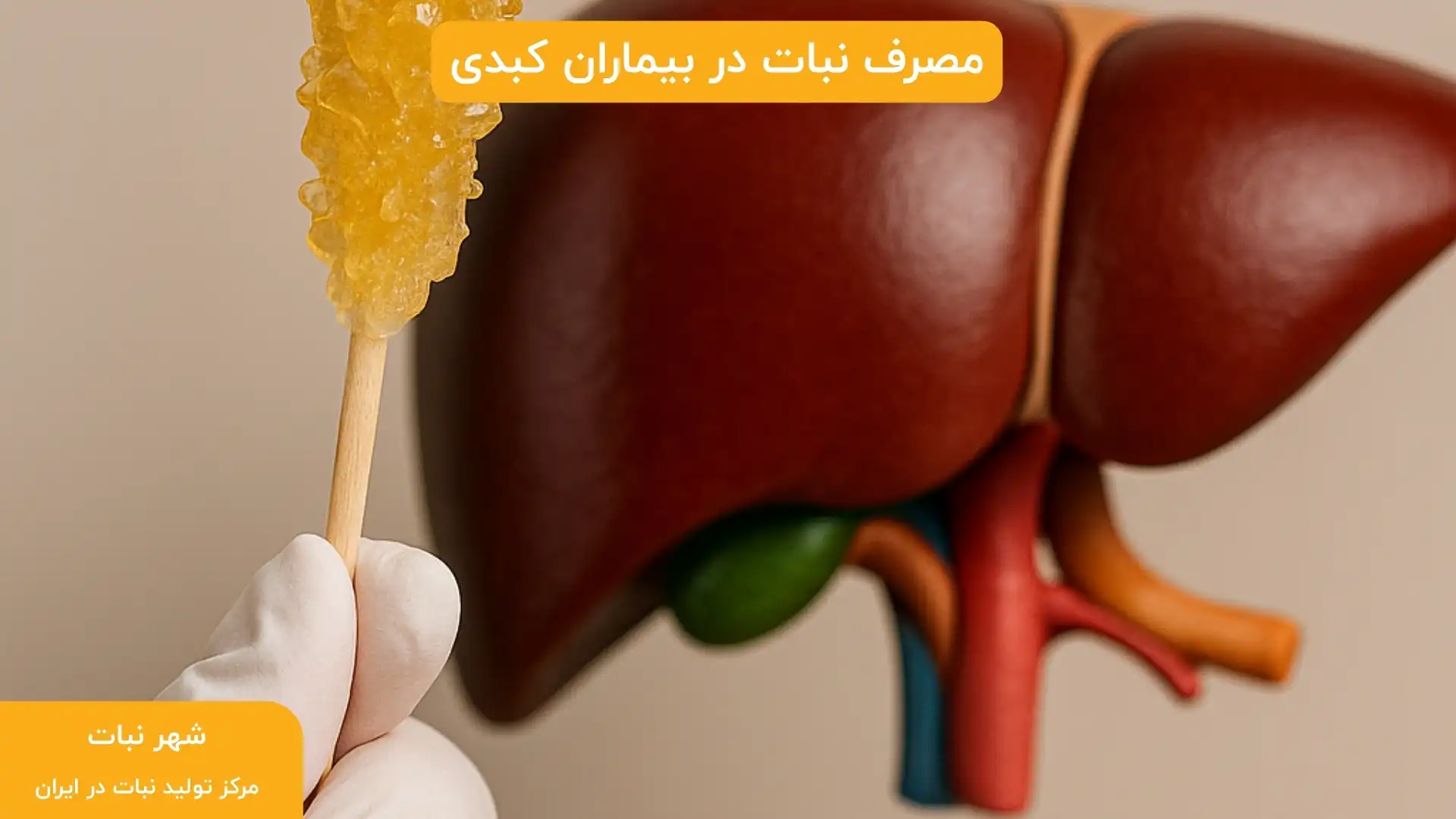 مصرف نبات در بیماران کبدی