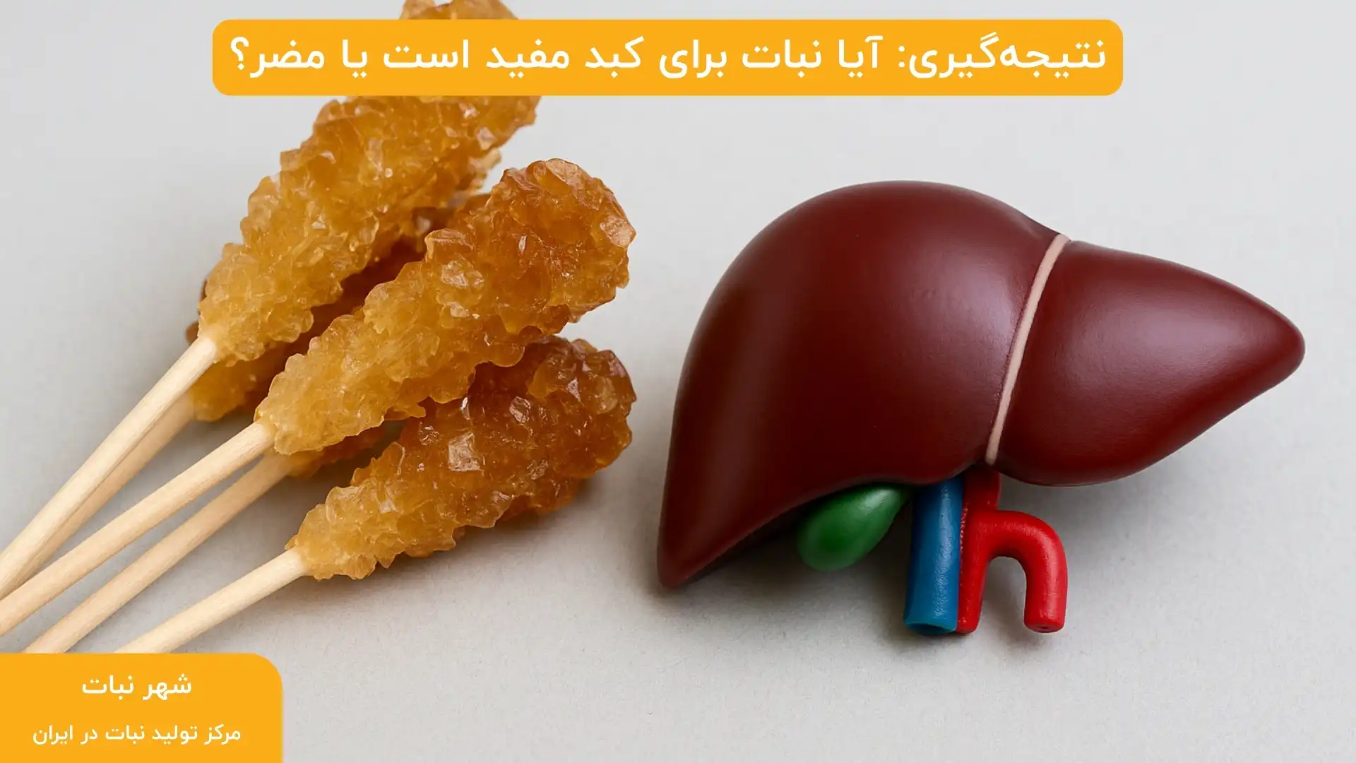 نتیجه‌گیری: آیا نبات برای کبد مفید است یا مضر؟