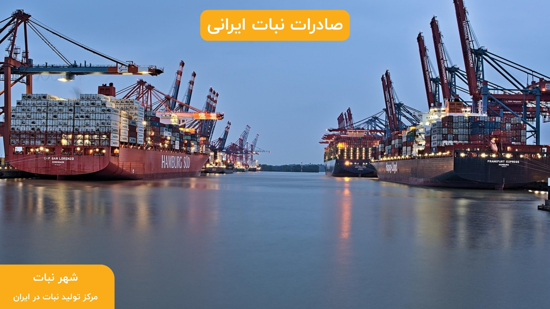 صادرات نبات ایرانی