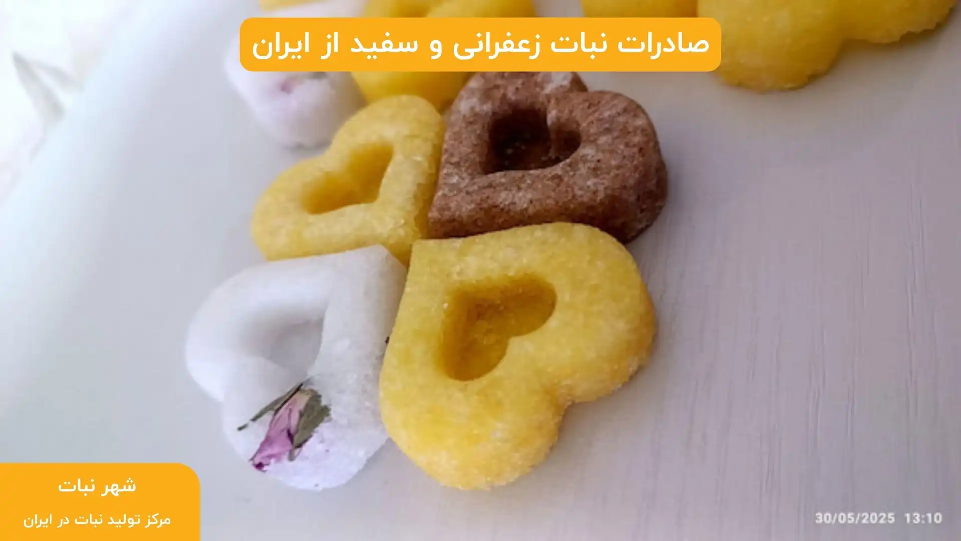 صادرات نبات زعفرانی و سفید از ایران