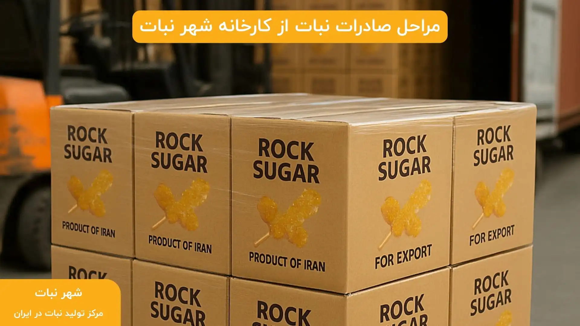 مراحل صادرات نبات از کارخانه شهر نبات