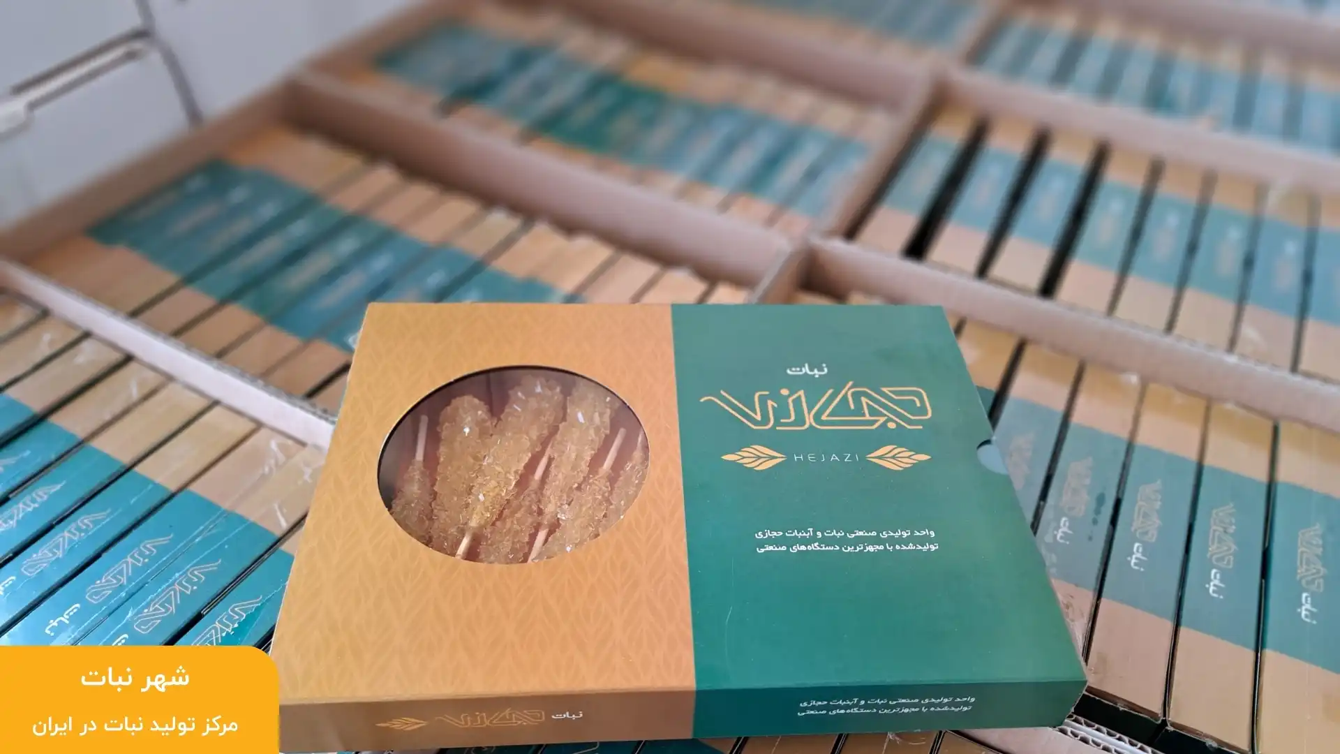 نبات چیست؟ | نبات از چه ساخته شده؟⭐ خواص + معرفی انواع نبات