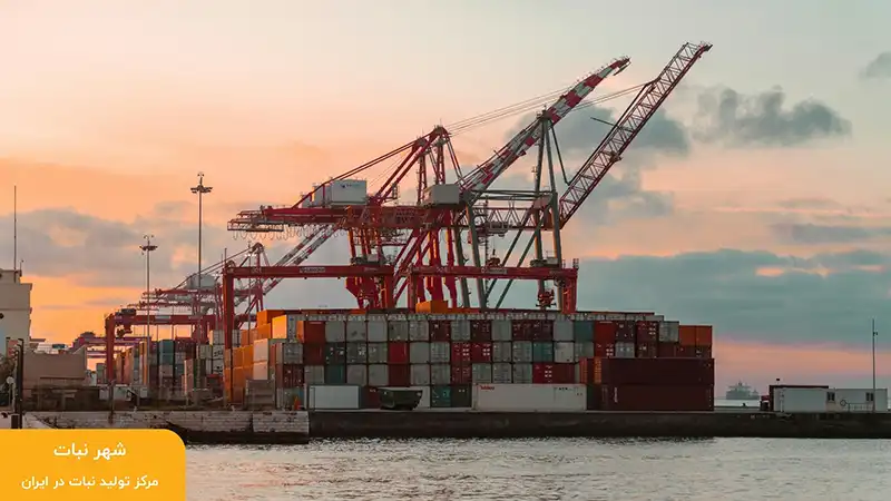 بهترین زمان برای صادرات نبات به عراق