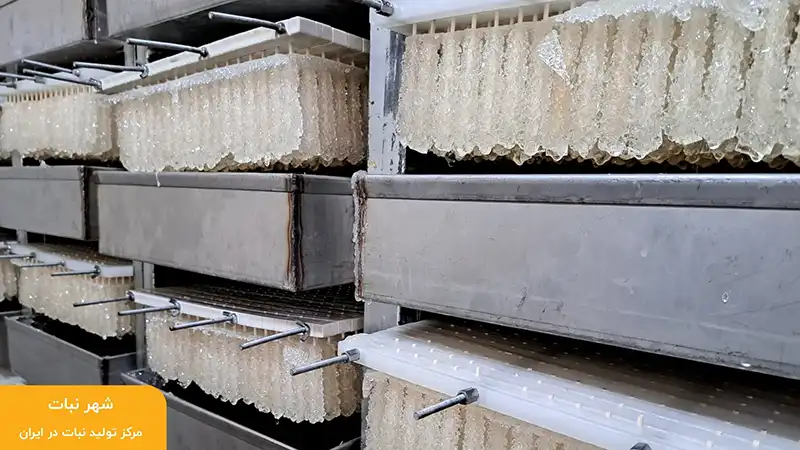 تاریخ انقضا نبات؛ چقدر طول می‌کشد تا نبات خراب شود؟