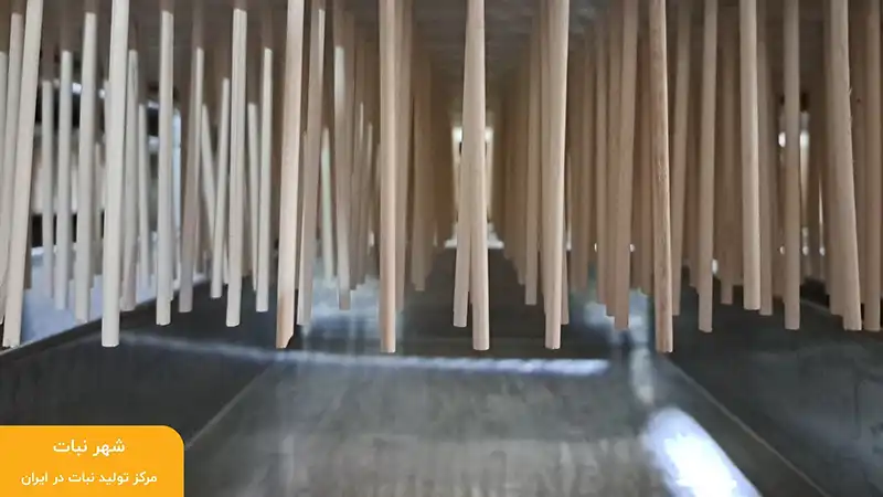 تاریخچه نبات در ایران