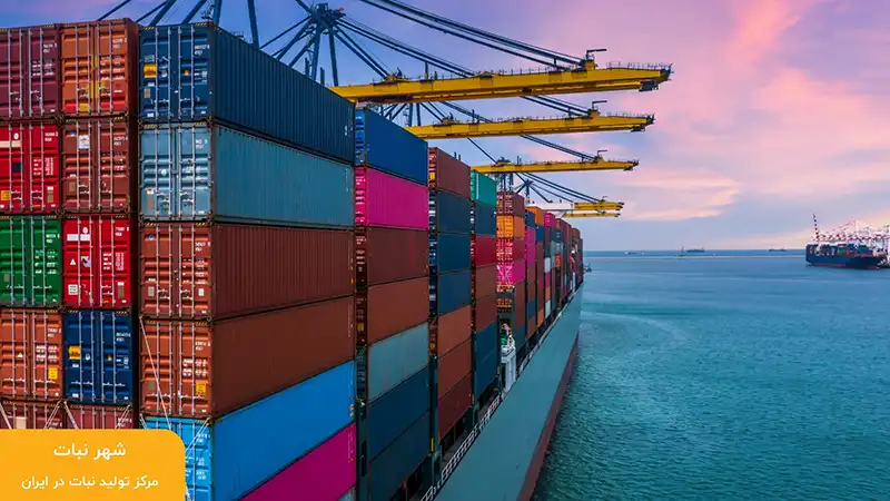 صادرات نبات درجه 1 به عراق و کشور های عربی