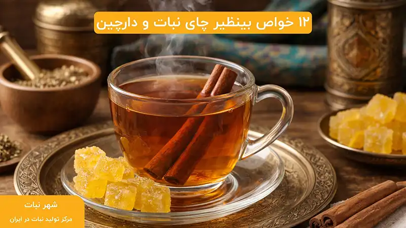 12 خواص بینظیر چای نبات و دارچین