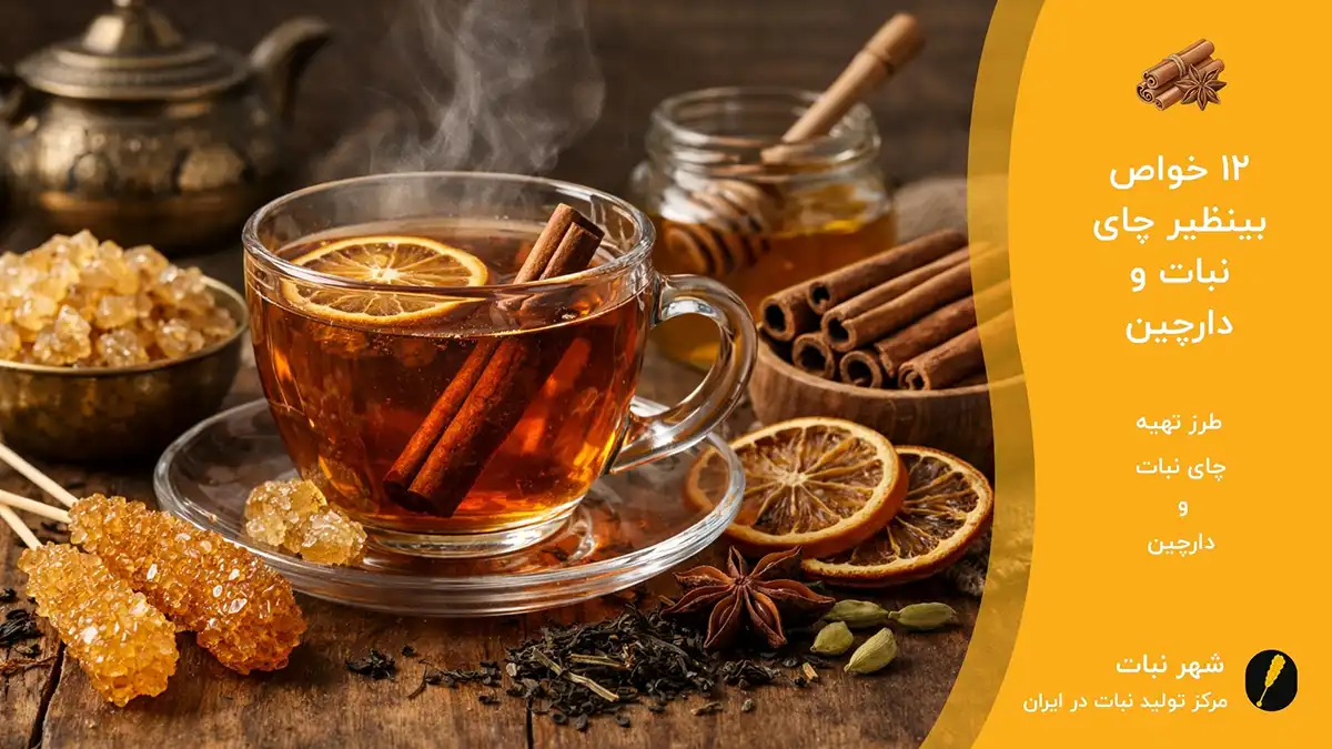 12 خواص بینظیر چای نبات و دارچین⭐ طرز تهیه چای نبات و دارچین