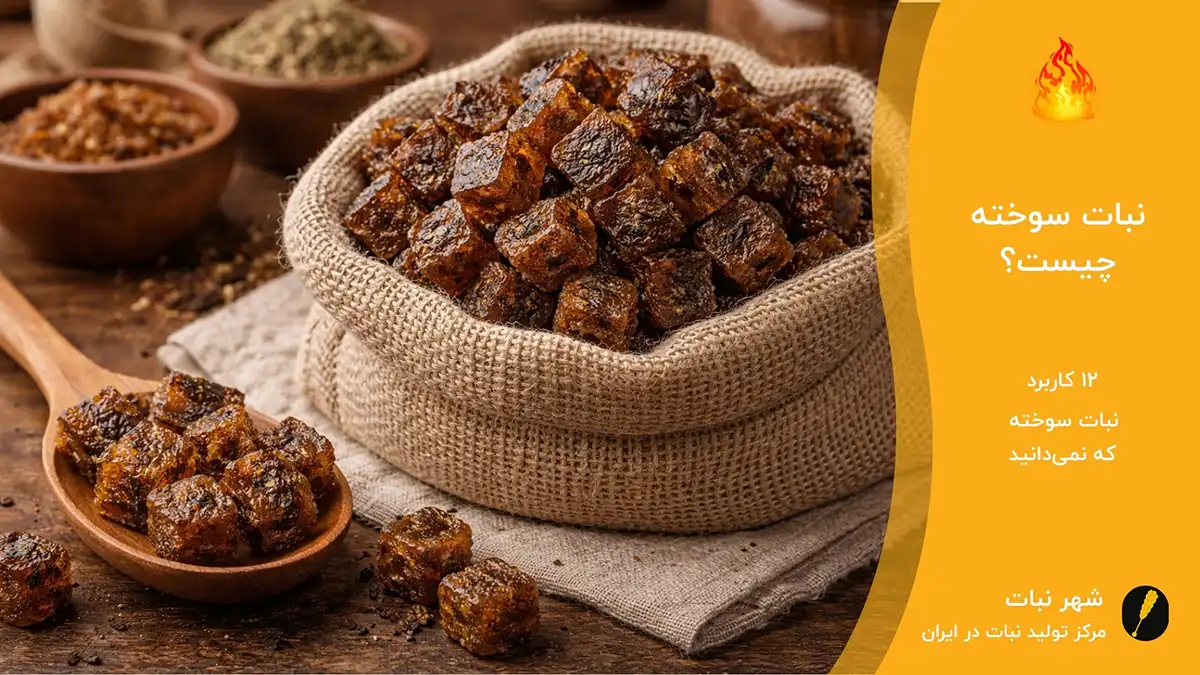 نبات سوخته چیست؟⭐ 12 کاربرد نبات سوخته که نمی‌دانید‼️