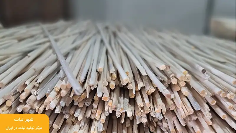 خرید چوب نبات