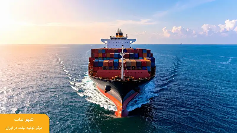 مراحل کامل صادرات نبات به عمان (گام‌به‌گام)