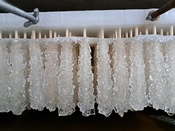 نبات چوبی سفید صفحه اصلی