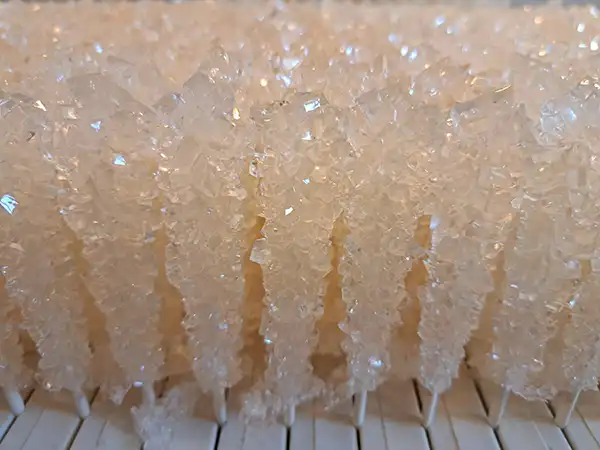 نبات چوبی سفید صفحه اصلی