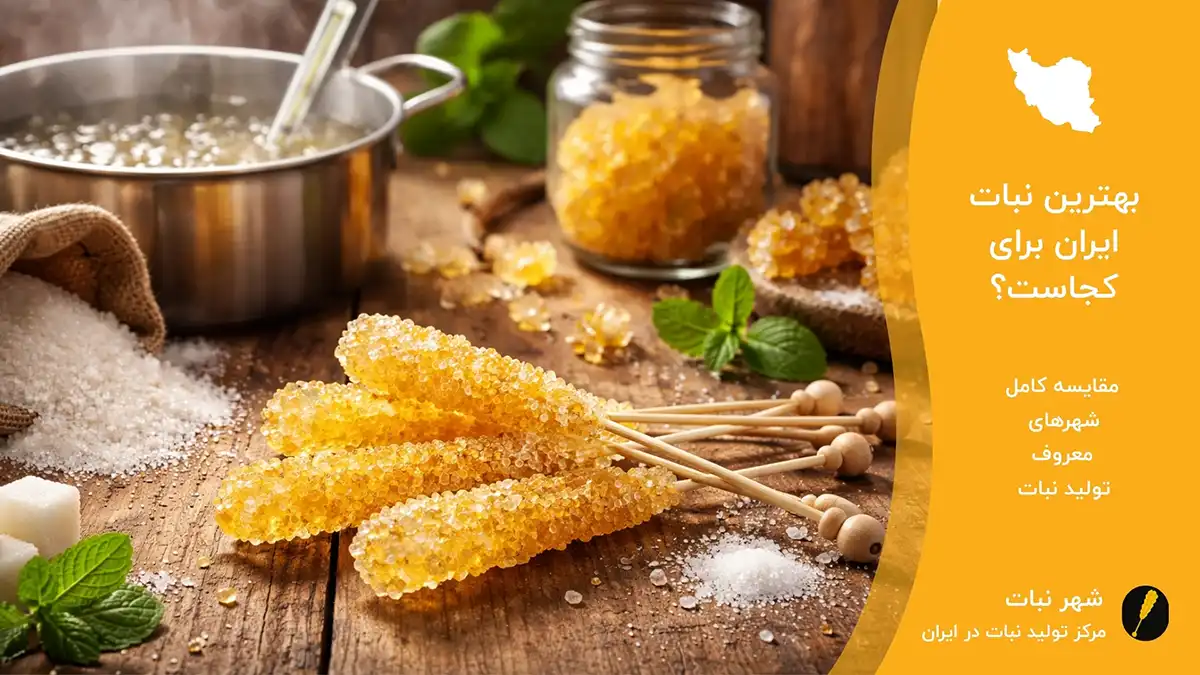 بهترین نبات ایران برای کجاست؟⭐ مقایسه شهرهای تولیدکننده نبات